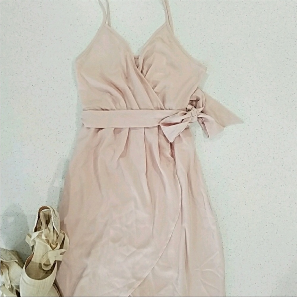 Blush Tulip skirt Dress